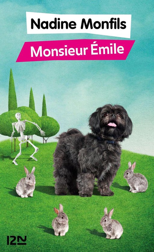 Hors collection - Monsieur EmileEbook