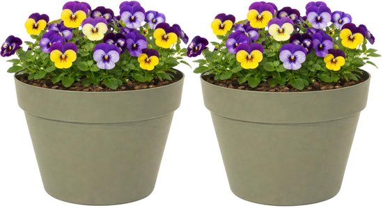 Mega Collections Pot de fleurs / jardinière – 2x – plastique – vert olive – intérieur/extérieur – D26 x H22 cm Mega Collections Pot de fleurs / jardinière – 2x – plastique – vert olive – intérieur/extérieur – D26 x H22 cm