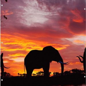 Gars Affiche de Jardin Eléphants au Coucher de Soleil – Silhouette – 120×180 cm – Toile Jardin – Décoration de jardin – Décoration murale Extérieure – Tableau Jardin Gars Affiche de Jardin Eléphants au Coucher de Soleil – Silhouette – 120×180 cm – Toile Jardin – Décoration de jardin – Décoration murale Extérieure – Tableau Jardin