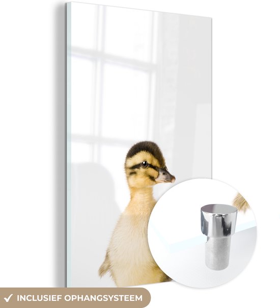 MuchoWow® Peinture sur verre 120x180 cm - Peinture sur verre acrylique - Canard - Jaune - Animaux - Nature - Photo sur verre - Peintures