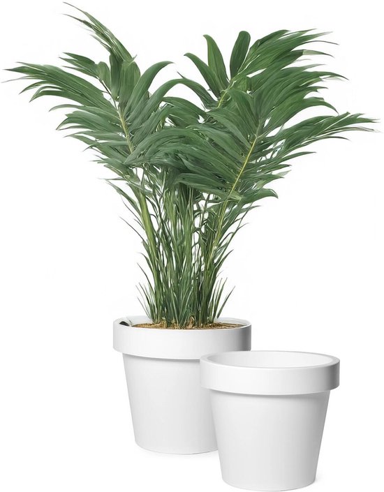 Mega Collections Cache-pot/pot de fleurs - 2x - plastique - blanc - extérieur - D35 x H31 cm