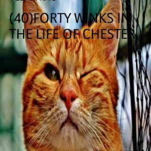 (40)FORTY WINKS IN THE LIFE OF CHESTEREbook (40)FORTY WINKS IN THE LIFE OF CHESTEREbook