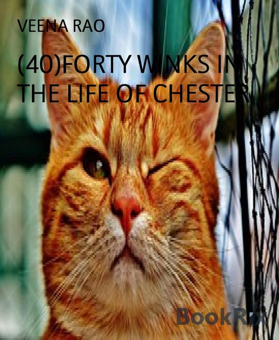 (40)FORTY WINKS IN THE LIFE OF CHESTEREbook