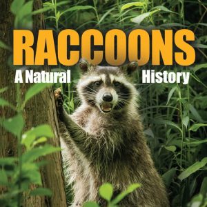 ISBN Raccoons, Livre broché, 240 pages Raccoons ISBN Raccoons, Livre broché, 240 pages Raccoons