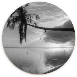 Palmier en surplomb sur la plage de Mo&rsquo;orea en noir et blanc Plaque murale cercle en plastique ⌀ 30 cm – impression photo sur cercle mural / cercle vivant (décoration murale)