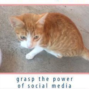 Grab them by the… saisir le pouvoir des médias sociaux