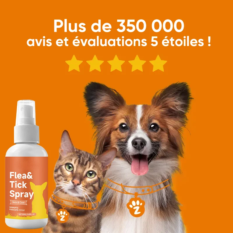 Spray de soin cutané pour chien contre puces et tiques – Image 3