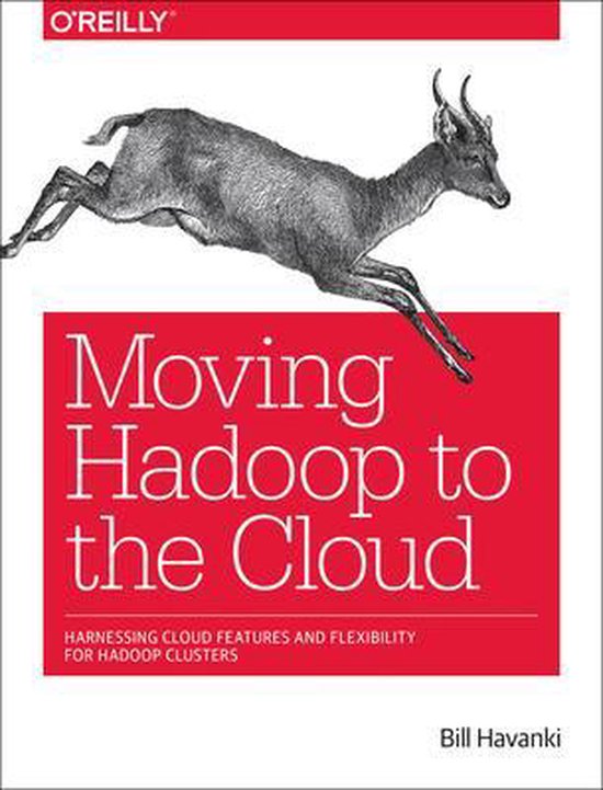 Moving Hadoop in the Cloud Harnessing Cloud Features and Flexibility for Hadoop Clusters