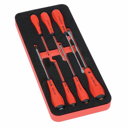 Module mousse 7 tournevis torx Module mousse 7 tournevis torx