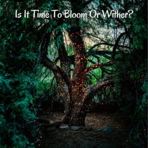 Is It Time To Bloom Or Wither?Ebook Is It Time To Bloom Or Wither?Ebook