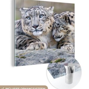 MuchoWow® Peinture sur Verre – Léopards des Neiges – Pierres – Portrait – 90×90 cm – Peintures sur Verre Acrylique – Photo sur Glas MuchoWow® Peinture sur Verre – Léopards des Neiges – Pierres – Portrait – 90×90 cm – Peintures sur Verre Acrylique – Photo sur Glas