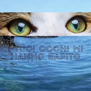I tuoi occhi mi hanno rapitoEbook I tuoi occhi mi hanno rapitoEbook