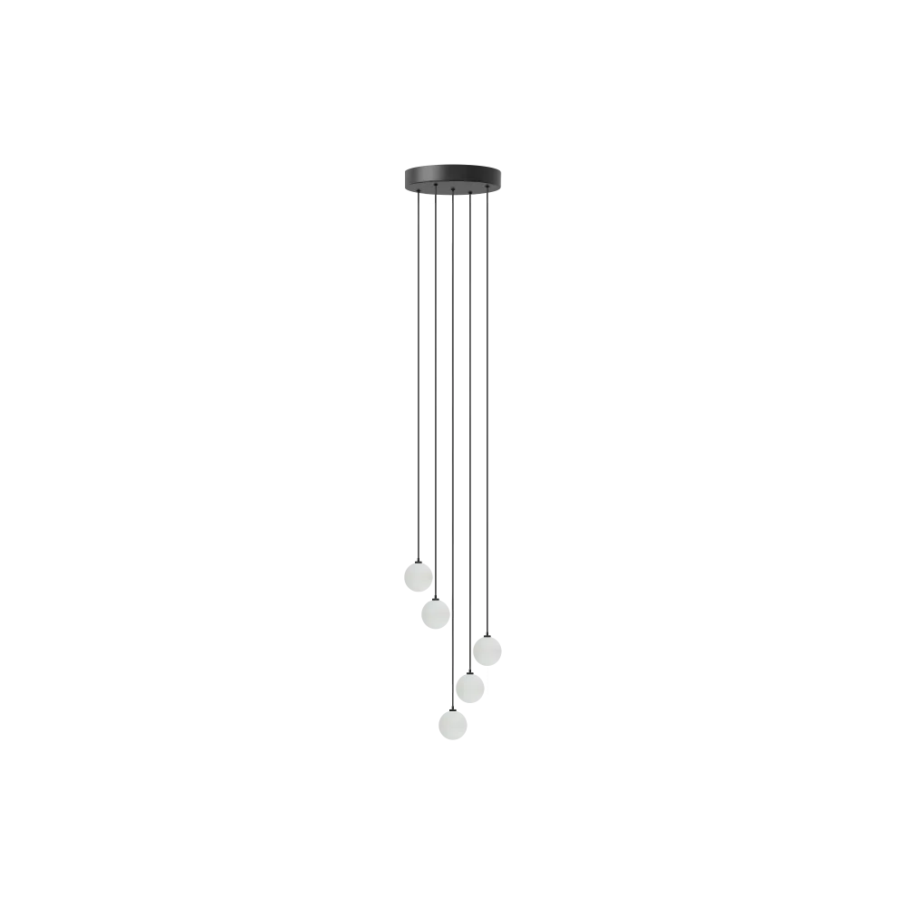 Rosette Mini 5er
