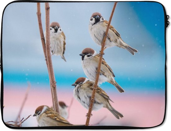 Housse pour ordinateur portable 17 pouces - Vogels - Moineau - Animaux - Branches - Housse pour ordinateur portable