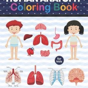 Human Anatomy Coloring Book For Kids Human Body Anatomy Coloring Book For Boys and Girls and Medical Students. Human Brain Heart Liver Coloring Book.Gift For Boys & Girls.Children’s Science Books.Human Body Part Activity Book Gift For Birthday Christmas. Human Anatomy Coloring Book For Kids Human Body Anatomy Coloring Book For Boys and Girls and Medical Students. Human Brain Heart Liver Coloring Book.Gift For Boys & Girls.Children’s Science Books.Human Body Part Activity Book Gift For Birthday Christmas.