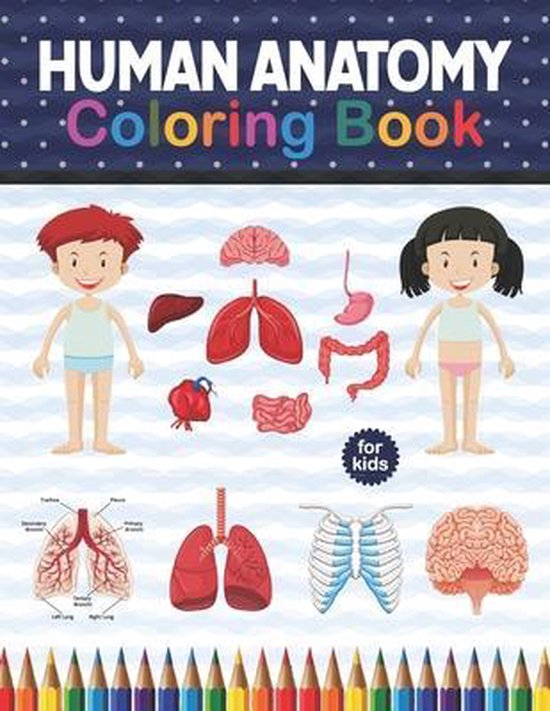 Human Anatomy Coloring Book For Kids Human Body Anatomy Coloring Book For Boys and Girls and Medical Students. Human Brain Heart Liver Coloring Book.Gift For Boys & Girls.Children's Science Books.Human Body Part Activity Book Gift For Birthday Christmas.