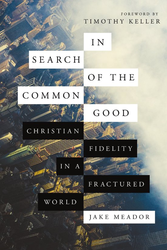In Search of the Common Good Christian Fidelity in a Fractured World