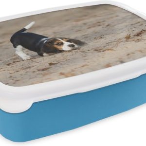 Lunch box Blauw – Lunch box – Boîte à pain – Un jeune chiot Beagle joue dans le sable – 18x12x6 cm – Enfants – Garçon Lunch box Blauw – Lunch box – Boîte à pain – Un jeune chiot Beagle joue dans le sable – 18x12x6 cm – Enfants – Garçon