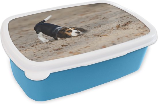 Lunch box Blauw - Lunch box - Boîte à pain - Un jeune chiot Beagle joue dans le sable - 18x12x6 cm - Enfants - Garçon