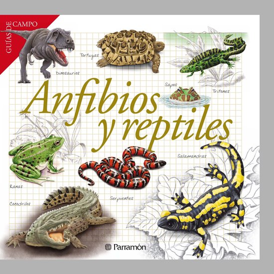 Guías de campo - Anfibios y reptilesEbook