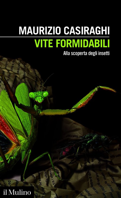 Intersezioni - Vite formidabiliEbook Alla scoperta degli insetti
