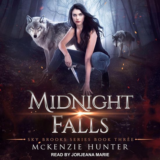 Midnight FallsLivre audio