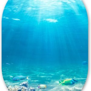 Ovale Mural – Décoration murale Plastique – Tableau Ovale – Monde Sous Marin – Animaux aquatiques – Water – Mer – Corail – 60×90 cm – Forme Miroir Ovale sur Plastique Ovale Mural – Décoration murale Plastique – Tableau Ovale – Monde Sous Marin – Animaux aquatiques – Water – Mer – Corail – 60×90 cm – Forme Miroir Ovale sur Plastique