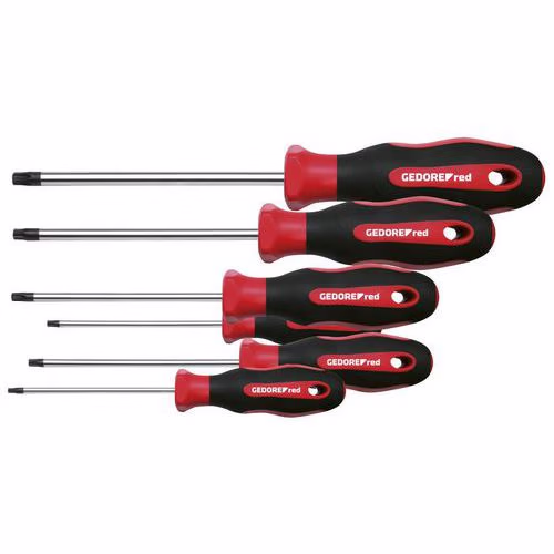 Jeu tournevis Torx 6 pièces R38402006