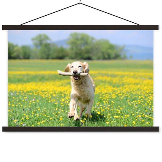 Golden Retriever avec une branche dans la bouche entre les fleurs jaunes affiche textielposter 150x100 cm