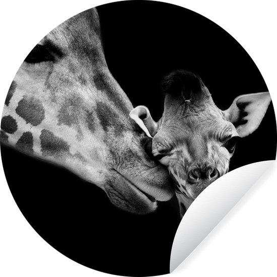 MuchoWow - Papier peint cercle - Papier peint autocollant - Animaux sauvages - Girafe - Famille - Zwart - Wit - 50x50 cm - Papier peint cercle chambre d'enfant - Papier peint cercle