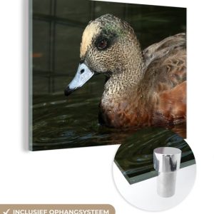 Gros plan d’un canard d’Amérique mâle en nageant Plexiglas 40×30 cm – petit – Tirage photo sur Glas (décoration murale en plexiglas) Gros plan d’un canard d’Amérique mâle en nageant Plexiglas 40×30 cm – petit – Tirage photo sur Glas (décoration murale en plexiglas)