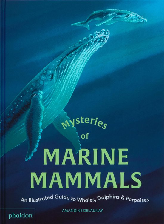 Mysteries of Marine Mammals An Illustrated Guide to Whales, Dolphins, and Porpoises