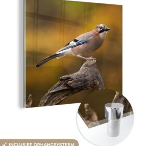 MuchoWow® Peinture sur verre 20×20 cm – Peinture sur verre acrylique – Vogel – Branche – Geai – Photo sur verre – Peintures MuchoWow® Peinture sur verre 20×20 cm – Peinture sur verre acrylique – Vogel – Branche – Geai – Photo sur verre – Peintures