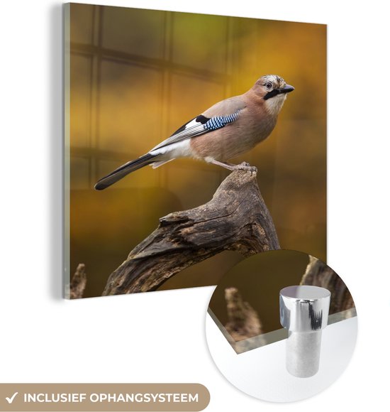 MuchoWow® Peinture sur verre 20x20 cm - Peinture sur verre acrylique - Vogel - Branche - Geai - Photo sur verre - Peintures