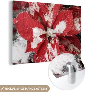 MuchoWow® Tableau en verre 180×120 cm – Peinture acrylique sur verre – Étoile de Noël – Fleur de Noël – Noël – Photo sur verre – Tableaux MuchoWow® Tableau en verre 180×120 cm – Peinture acrylique sur verre – Étoile de Noël – Fleur de Noël – Noël – Photo sur verre – Tableaux