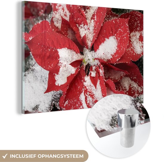 MuchoWow® Tableau en verre 180x120 cm - Peinture acrylique sur verre - Étoile de Noël - Fleur de Noël - Noël - Photo sur verre - Tableaux
