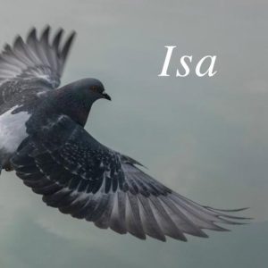 Isa Isa