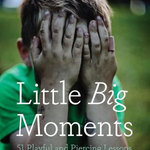 Little Big MomentsEbook 51 Playful and Piercing Lessons about Parenting Little Big MomentsEbook 51 Playful and Piercing Lessons about Parenting