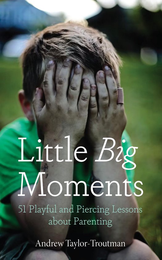 Little Big MomentsEbook 51 Playful and Piercing Lessons about Parenting