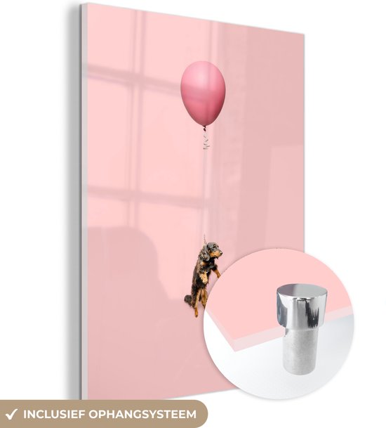 MuchoWow® Peinture sur verre 60x80 cm - Peinture sur verre acrylique - Teckel sur un ballon rose - Photo sur verre - Peintures