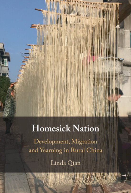 Homesick Nation Development, Migration and Yearning in Rural China