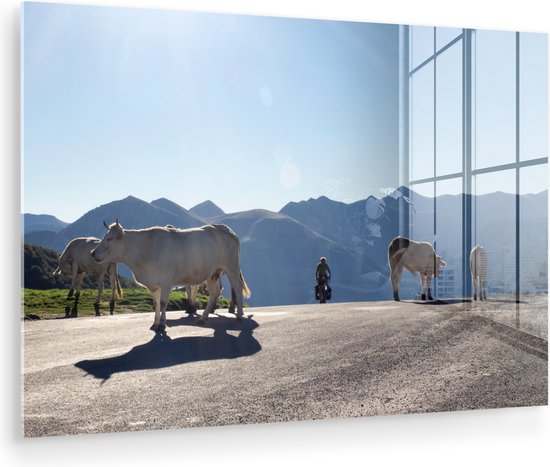 MuchoWow® Peinture sur verre - Highlander écossais - Lumière - Berg - Nature - 60x40 cm - Peintures sur verre acrylique - Photo sur Glas
