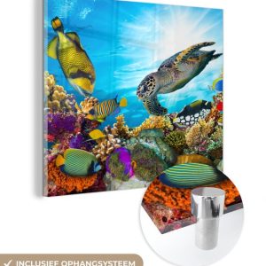 MuchoWow® Peinture sur verre 20×20 cm – Peinture sur verre acrylique – Tortue – Mer – Corail – Photo sur verre – Peintures MuchoWow® Peinture sur verre 20×20 cm – Peinture sur verre acrylique – Tortue – Mer – Corail – Photo sur verre – Peintures