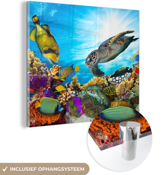MuchoWow® Peinture sur verre 20x20 cm - Peinture sur verre acrylique - Tortue - Mer - Corail - Photo sur verre - Peintures
