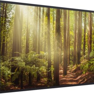 Image encadrée – Cadre photo Forêt Rouge Wood Noir sans passe partout 120×80 cm – Affiche encadrée (Décoration murale salon / chambre) Image encadrée – Cadre photo Forêt Rouge Wood Noir sans passe partout 120×80 cm – Affiche encadrée (Décoration murale salon / chambre)