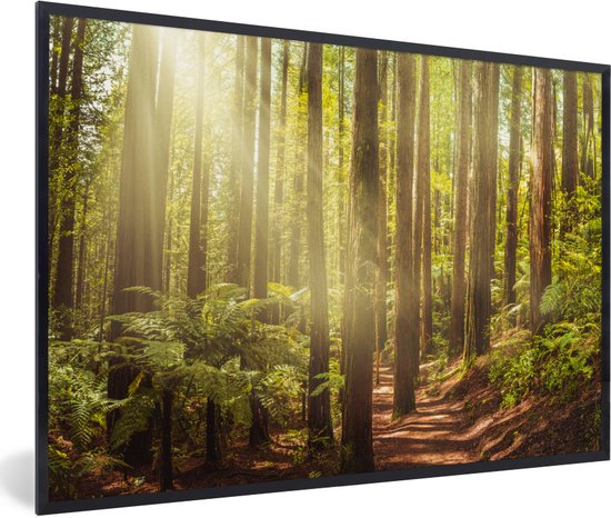 Image encadrée - Cadre photo Forêt Rouge Wood Noir sans passe partout 120x80 cm - Affiche encadrée (Décoration murale salon / chambre)