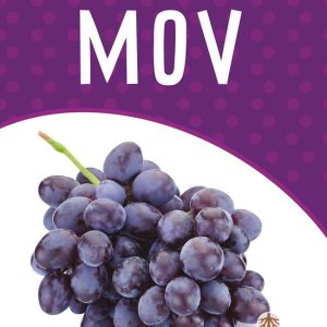 My Favorite Color – PurpleEbook