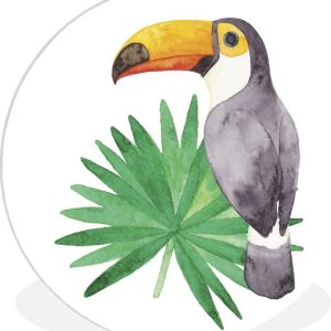 Illustration aquarelle d’une assiette en plastique cercle mural toucan ⌀ 30 cm – impression photo sur cercle mural / cercle vivant (décoration murale) Illustration aquarelle d’une assiette en plastique cercle mural toucan ⌀ 30 cm – impression photo sur cercle mural / cercle vivant (décoration murale)