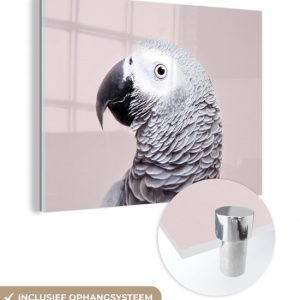 MuchoWow® Peinture sur verre 120×90 cm – Peinture sur verre acrylique – Perroquet – Grijs – Animaux – Nature – Photo sur verre – Peintures MuchoWow® Peinture sur verre 120×90 cm – Peinture sur verre acrylique – Perroquet – Grijs – Animaux – Nature – Photo sur verre – Peintures