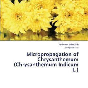 Micropropagation of Chrysanthemum (Chrysanthemum Indicum L.) Micropropagation of Chrysanthemum (Chrysanthemum Indicum L.)